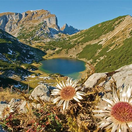 Готель Schwaiger Breitenbach am Inn Екстер'єр фото